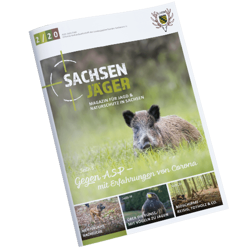 Cover-Sachsenjaeger-square-2020-02 Sachsenjäger Magazin Ansicht Klicke auf das Bild um die aktuelle Ausgabe zu lesen