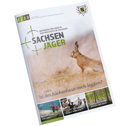 Cover-Sachsenjaeger-square-2020-04 Cover Sachsenjaeger square 2020 04