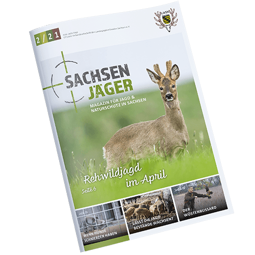 Cover-Sachsenjaeger-square-2021-02 Cover Sachsenjaeger square 2021 02