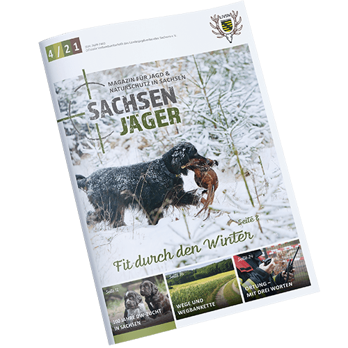 Cover Sachsenjäger Magazin 2021 04