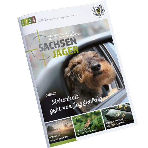 Cover des Magazines welches einen Hund zeigt der aus dem Seitenfenster eines fahrenden Autos guckt