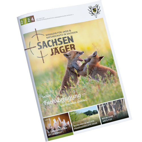 Cover sachsenjaeger 2024 2