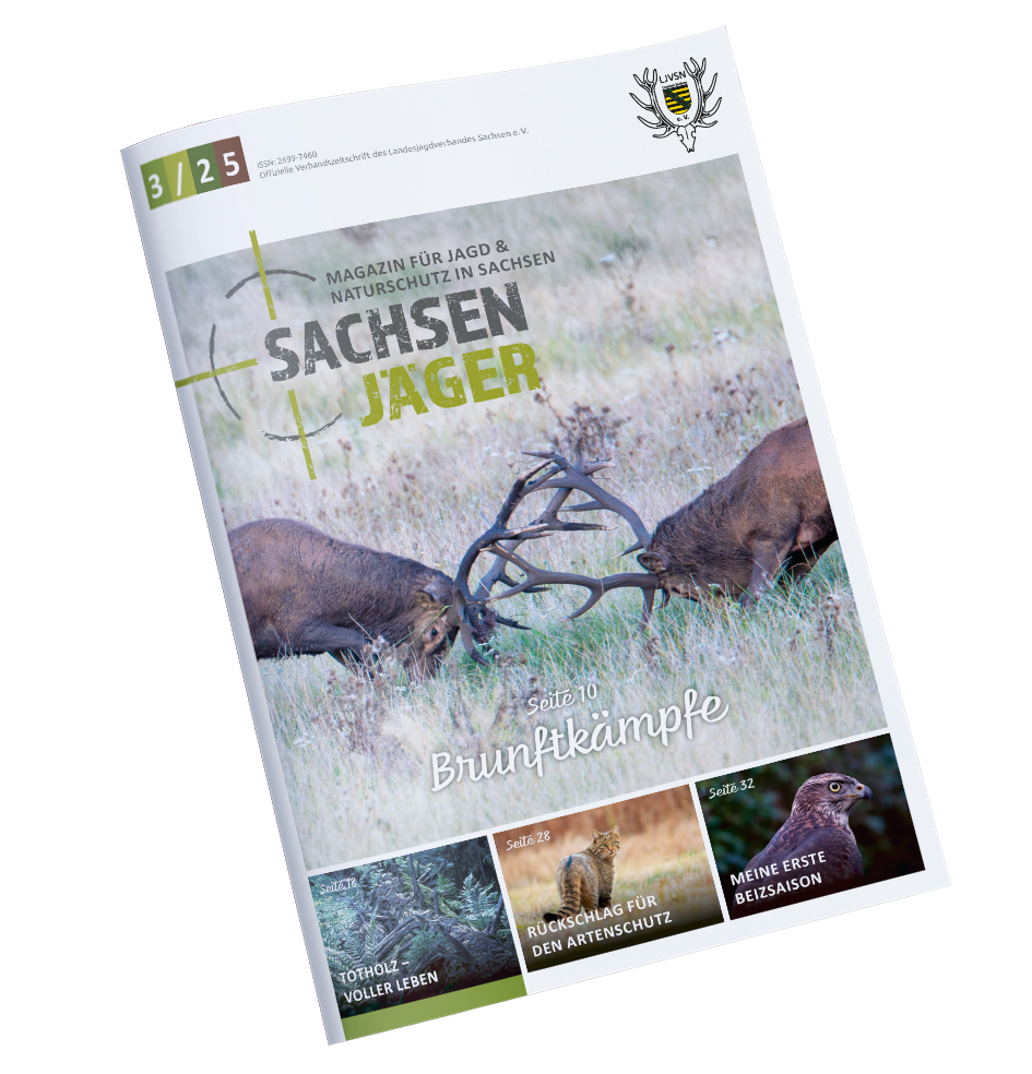 SachsenJaeger Magazin 2025-03 Ausgabe 3/25 jetzt online!