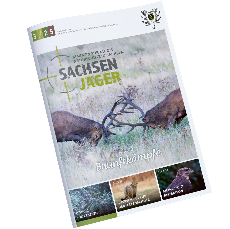 Ausgabe 3/25 jetzt online!